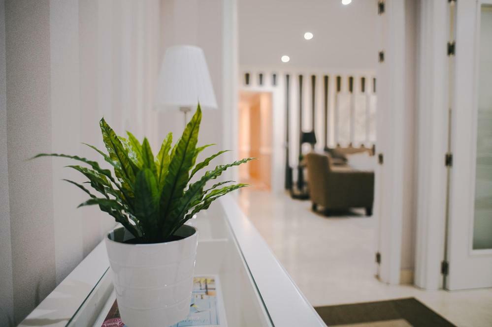 Appartement Vista Paraiso - Doctor Trujillo Santa-Cruz de Ténérife